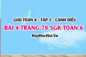 Giải bài 4 trang 78 Toán 6 Tập 1 SGK Cánh Diều